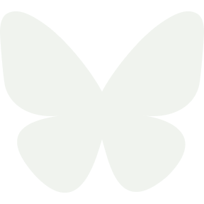 Bluesky Logo