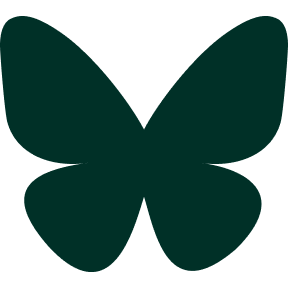 Bluesky Logo