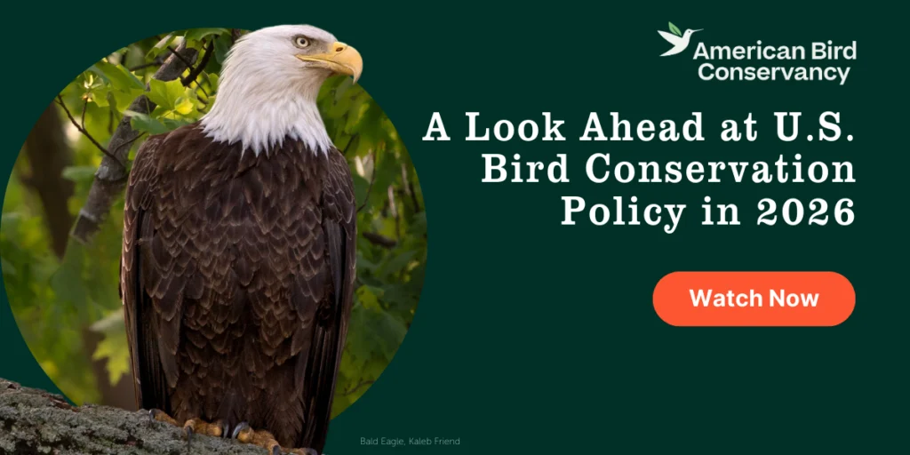 2026 Policy Webinar
