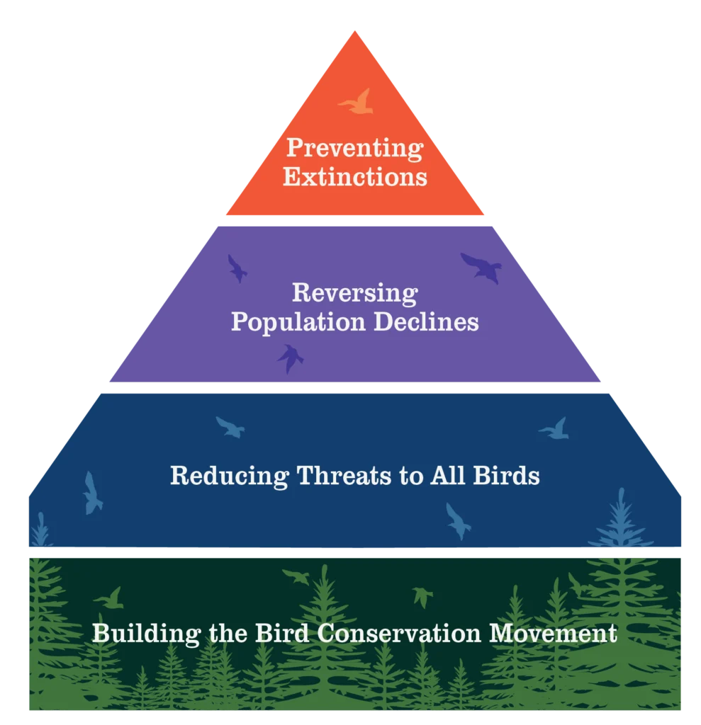 ABC's Conservation Framework Pyramid - Text Graphic that lists the four tiers from the bottom up: 1. 