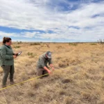 Experts from ABC and our partners work throughout the Americas to conserve birds and their habitats.
